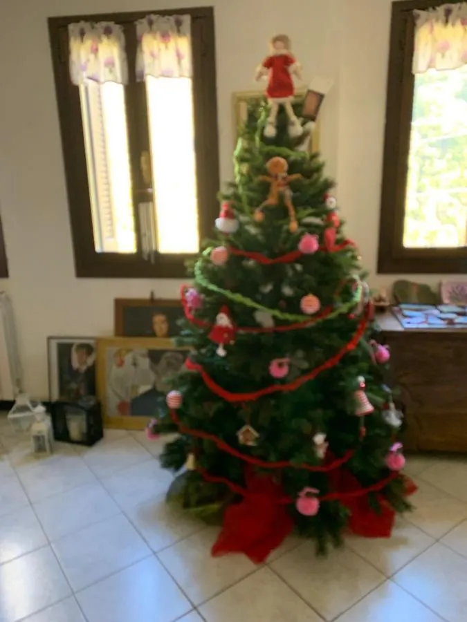 Leo Anfosso Hostel Carpasio